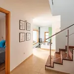 Mate Playa Blanca (Lanzarote)